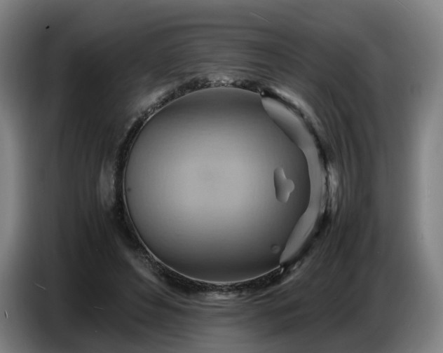 X0000086770496200704201807