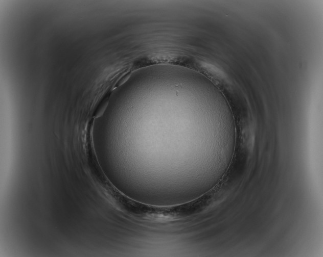 X0000086770498200704201807