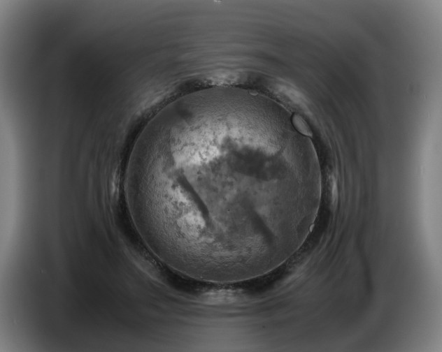 X0000086770499200704201807