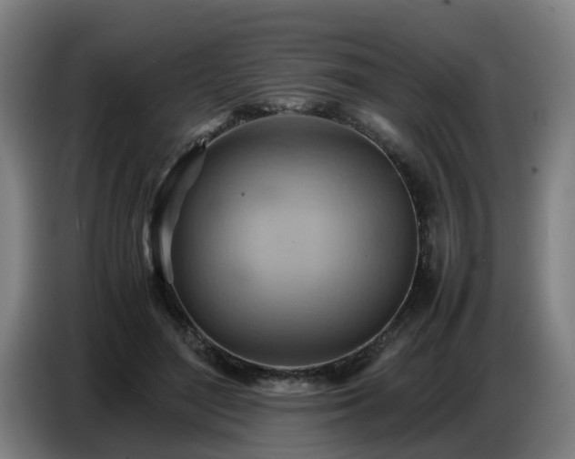 X0000086770500200704201807