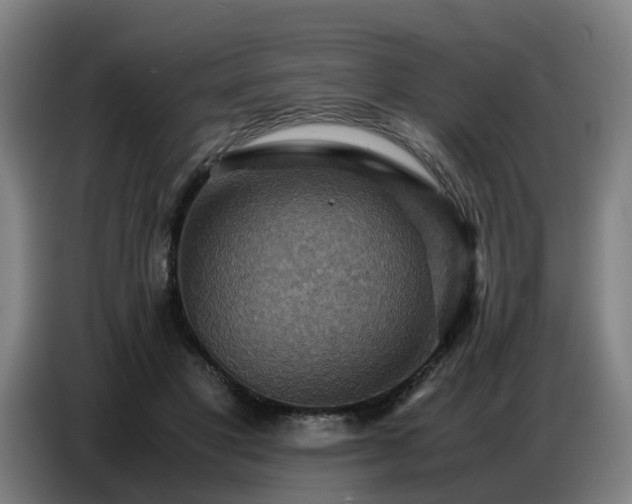 X0000086770501200704201807