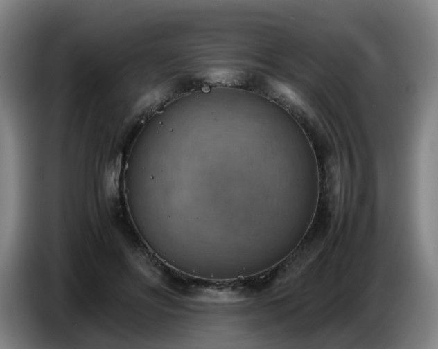 X0000086770502200704201807