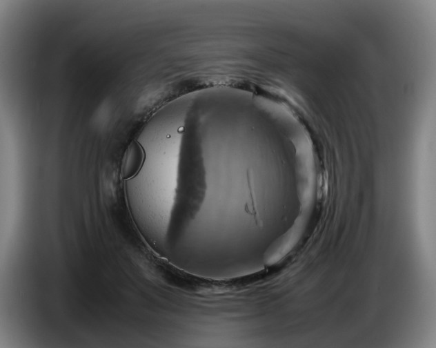 X0000086770503200704201807