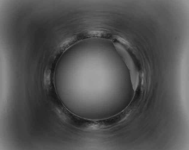 X0000086770504200704201807
