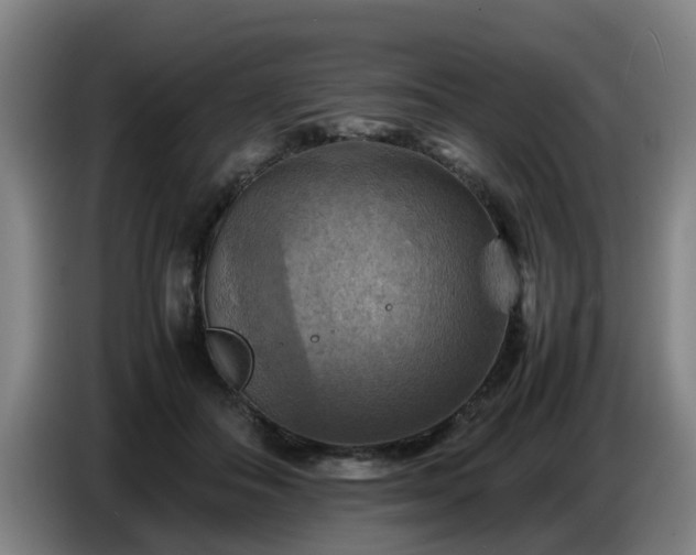 X0000086770506200704201807