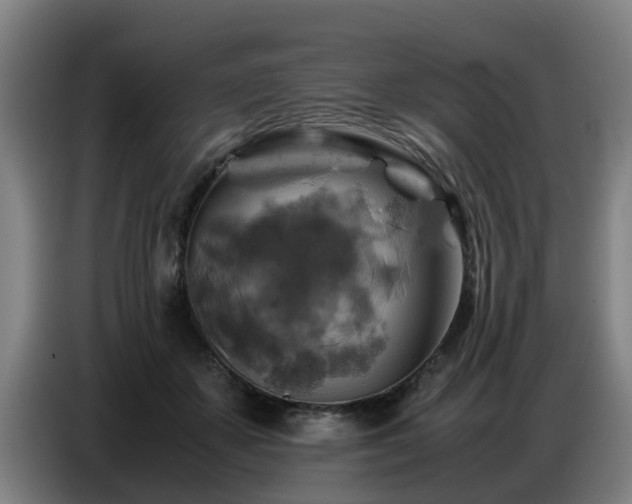 X0000086770507200704201807