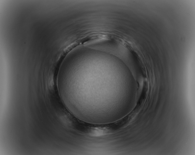 X0000086770508200704201807