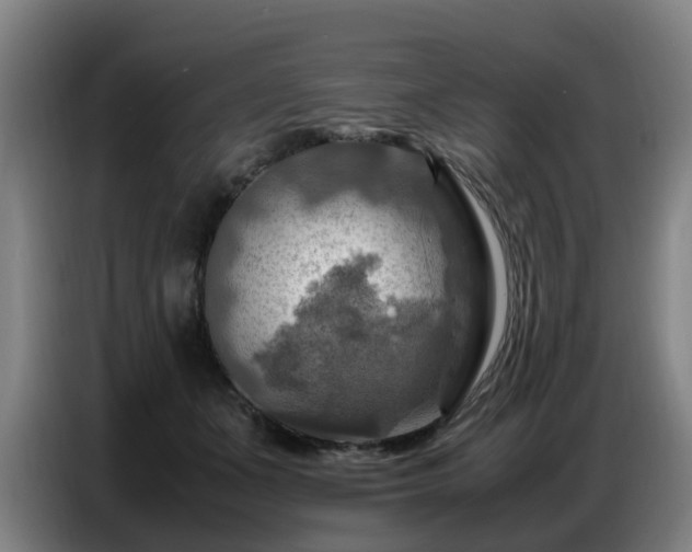 X0000086770511200704201807