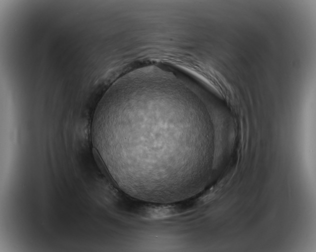 X0000086770513200704201807
