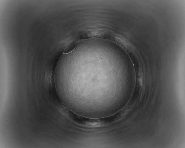 X0000086770514200704201807