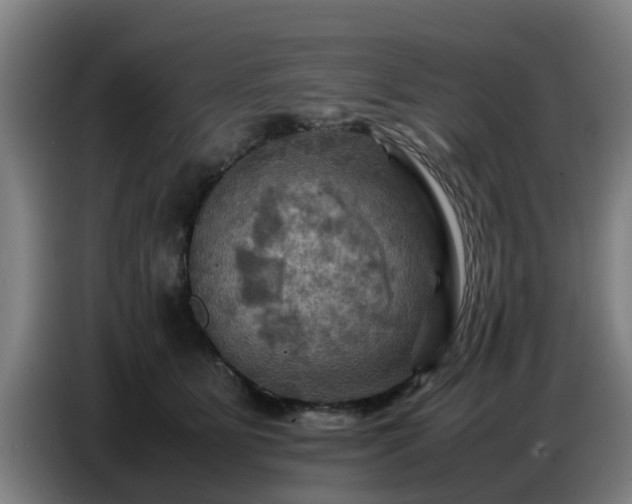 X0000086770515200704201807