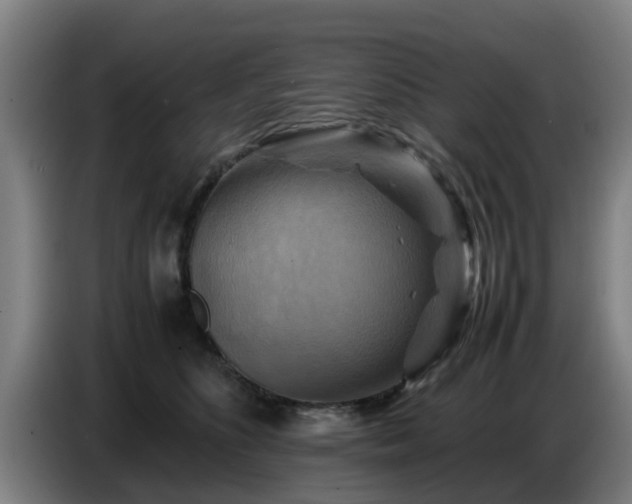 X0000086770516200704201807