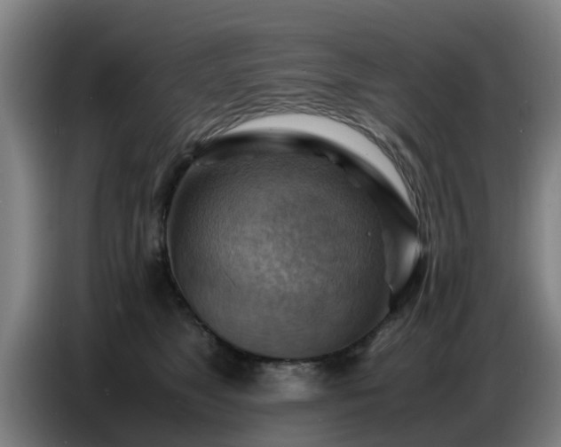X0000086770517200704201807