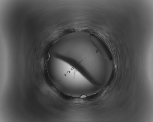 X0000086770519200704201807