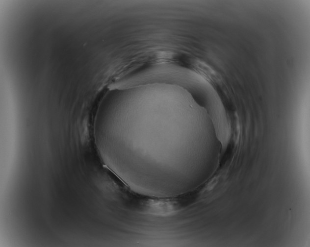 X0000086770520200704201807