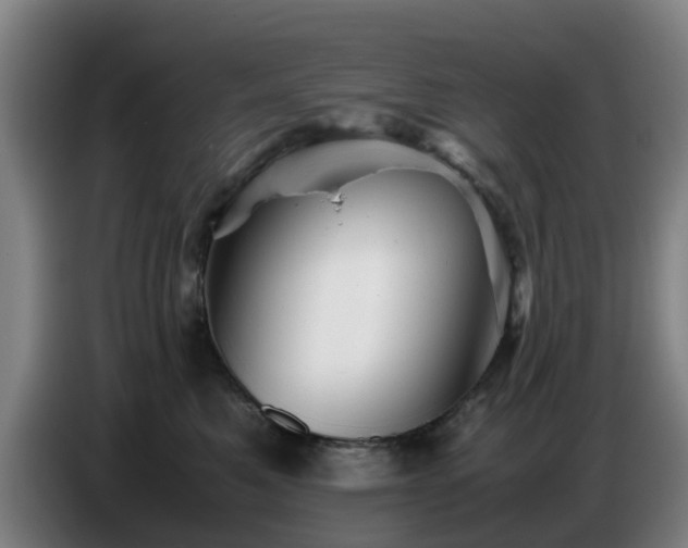 X0000086770521200704201807