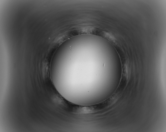 X0000086770522200704201807
