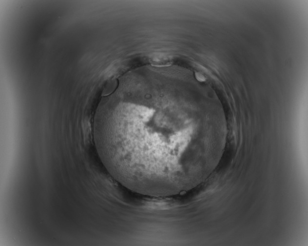 X0000086770523200704201807