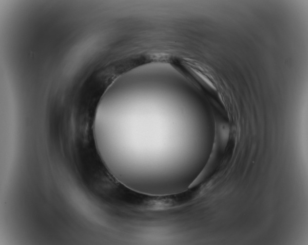 X0000086770525200704201807
