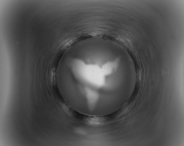 X0000086770527200704201807
