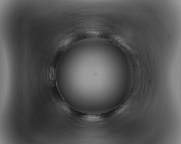 X0000086770528200704201807