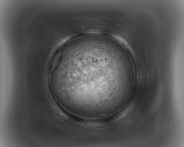 X0000086770529200704201806
