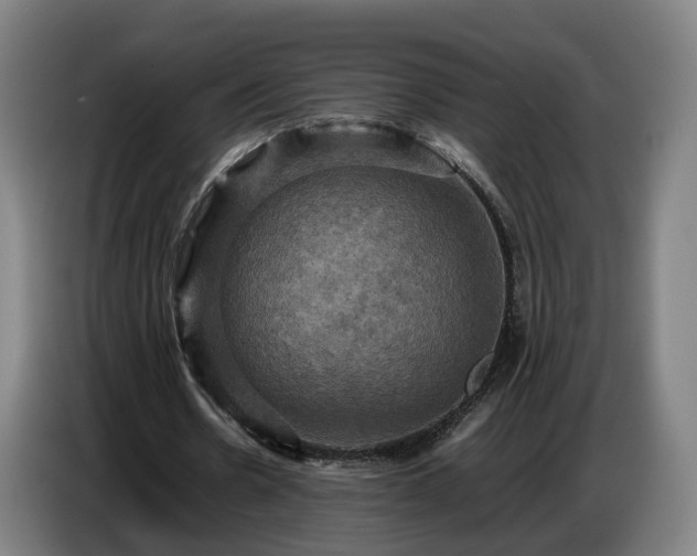 X0000086770530200704201806