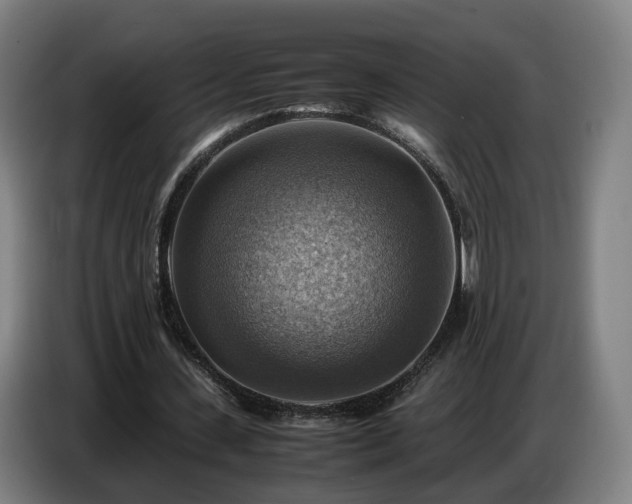 X0000086770531200704201806