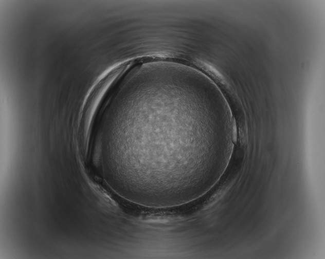 X0000086770532200704201806