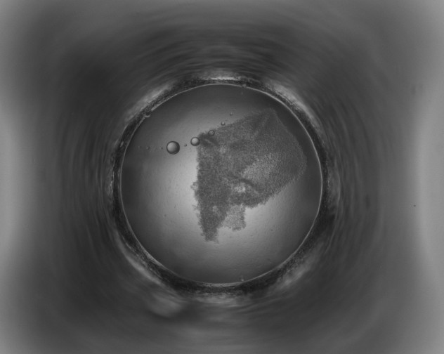 X0000086770533200704201806