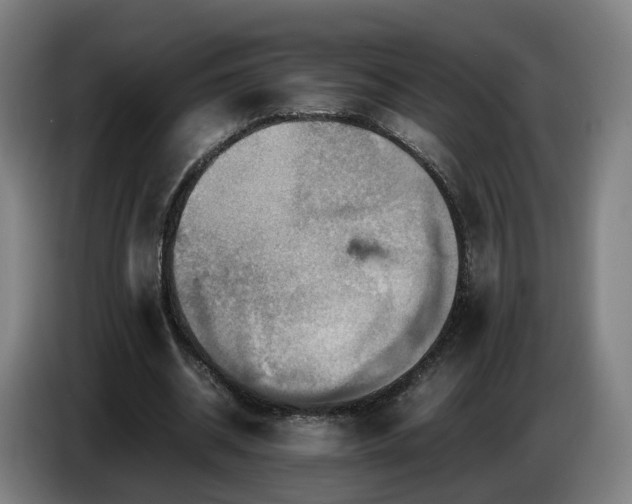 X0000086770534200704201806