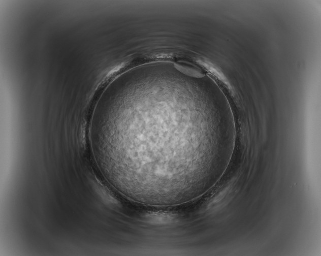 X0000086770537200704201806