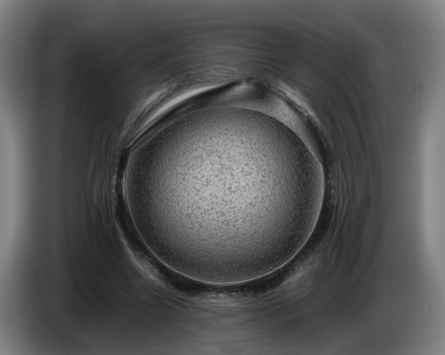 X0000086770538200704201806