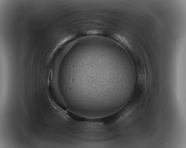 X0000086770539200704201806