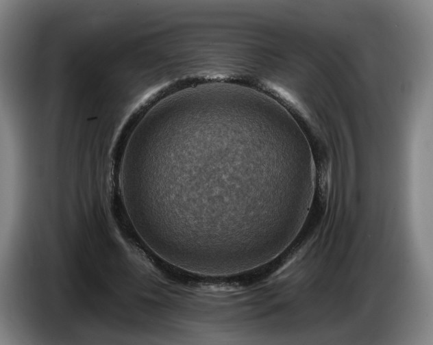 X0000086770540200704201806