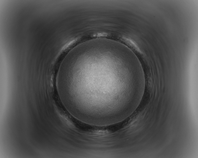 X0000086770543200704201806