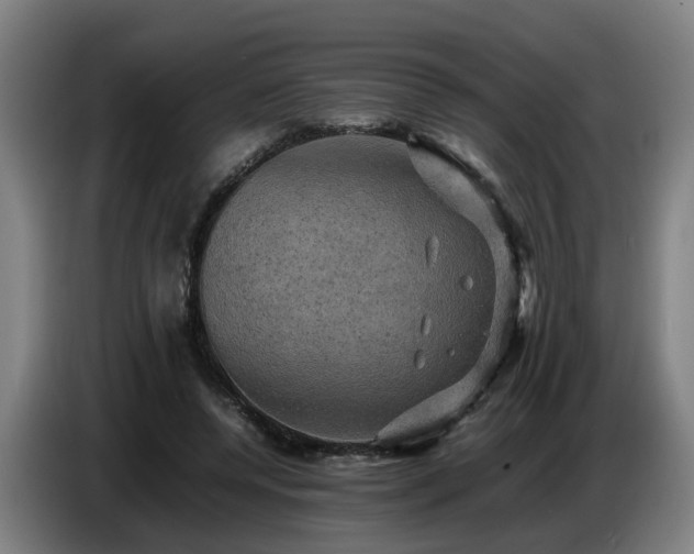 X0000086770544200704201806