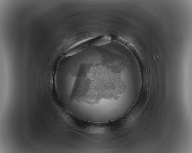 X0000086770545200704201806