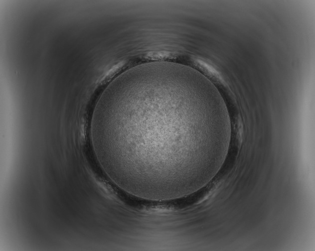 X0000086770546200704201806