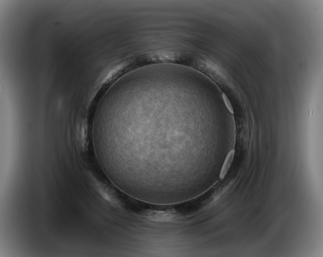 X0000086770548200704201806
