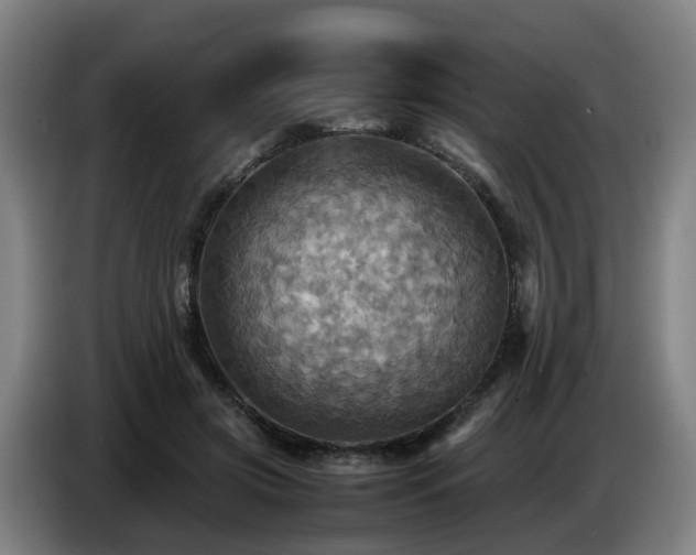 X0000086770549200704201806