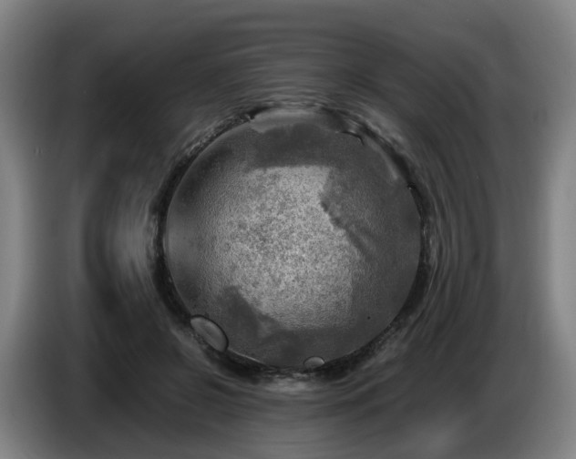 X0000086770550200704201806