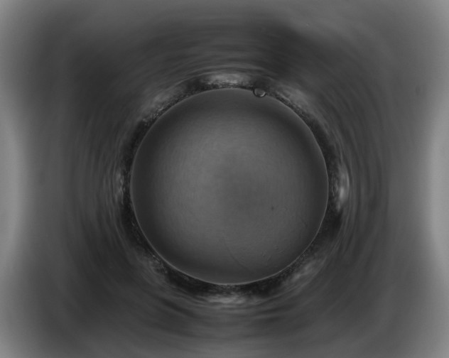 X0000086770551200704201807