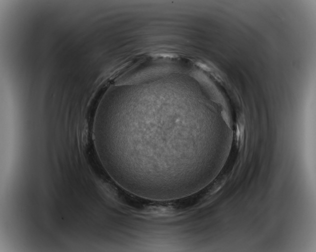 X0000086770552200704201807