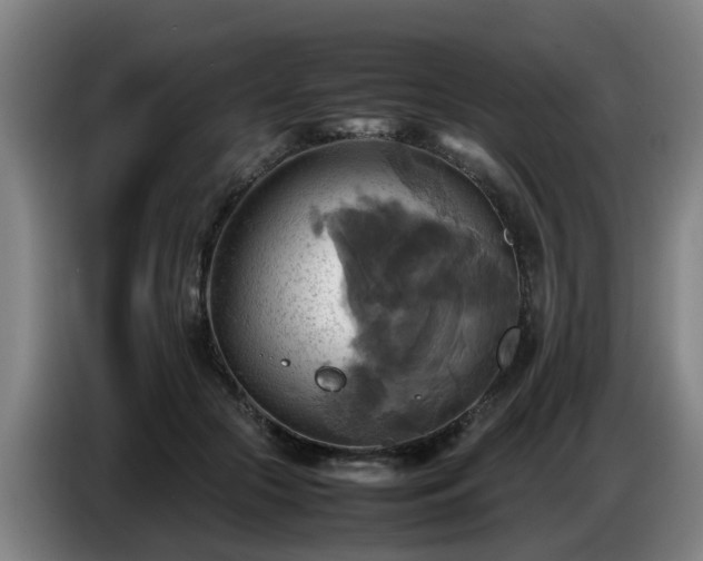 X0000086770553200704201807