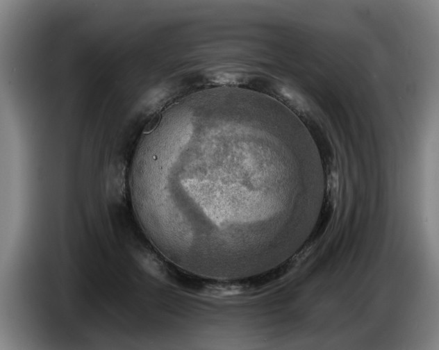 X0000086770554200704201807