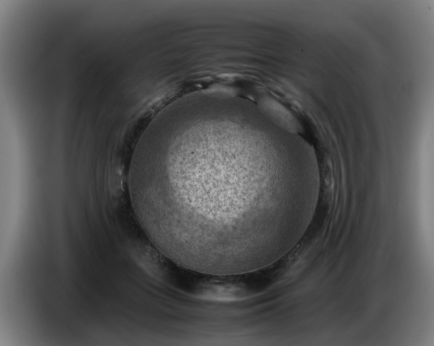X0000086770555200704201807