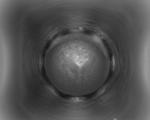 X0000086770558200704201807