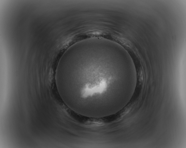 X0000086770559200704201807