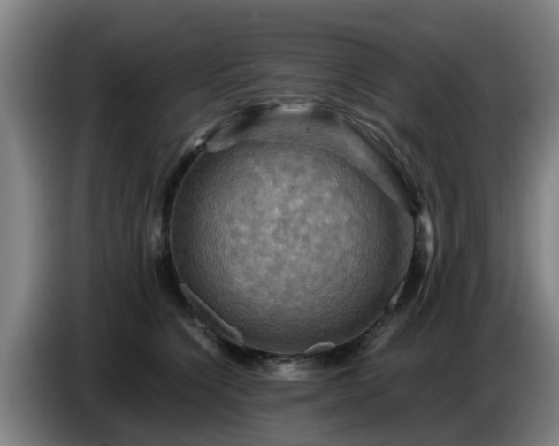 X0000086770564200704201807